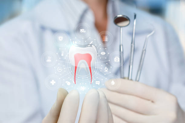 Reliable Willis, TX Holistic Dental Care Services Solutions